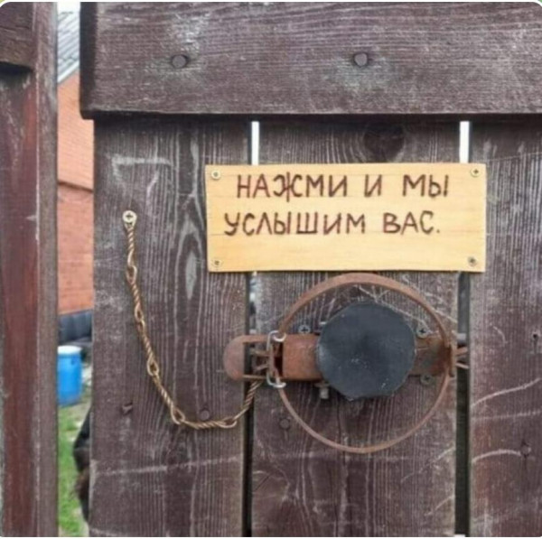 Весёлый полтишок 19.11.2021
