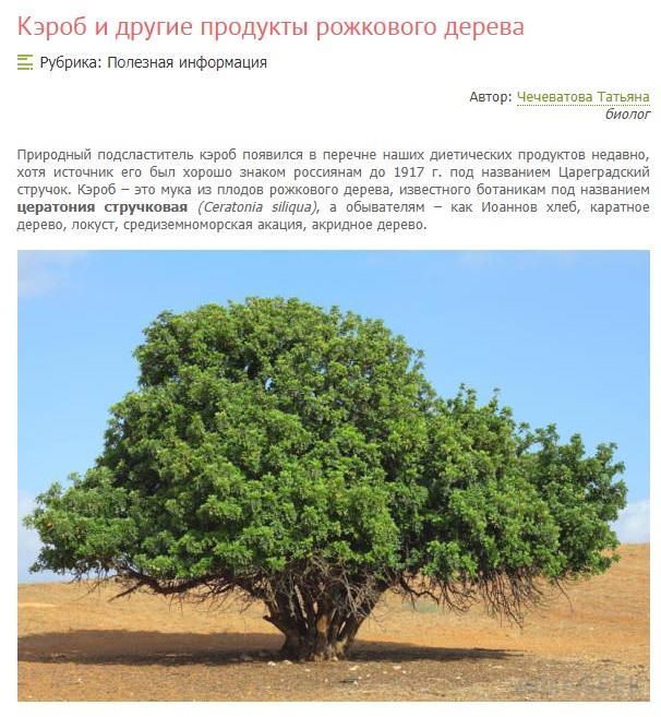 Кругозор