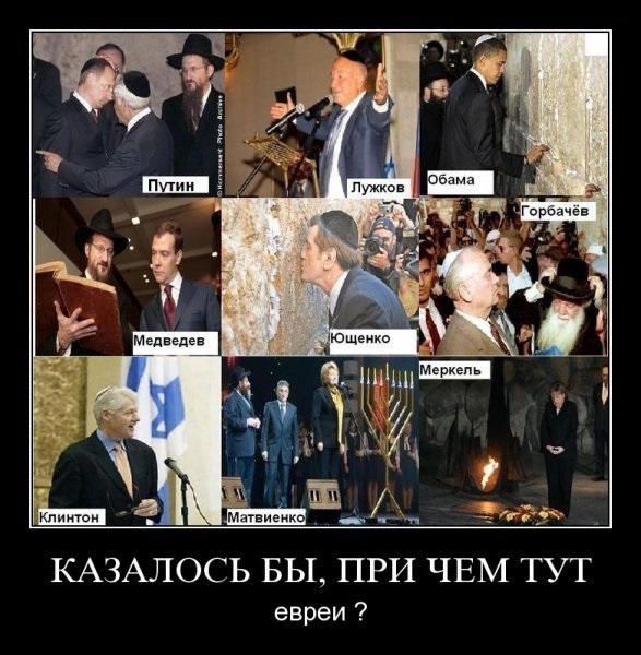 Слава богу, я безбожник #5