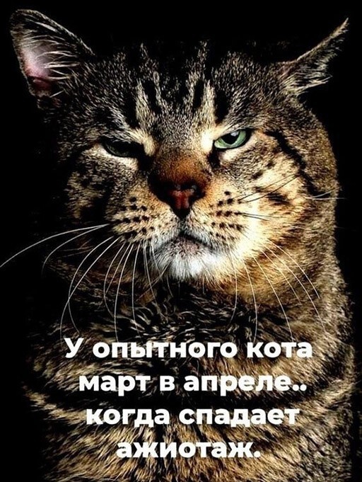 Картинки и мемы, всем отличных выходных