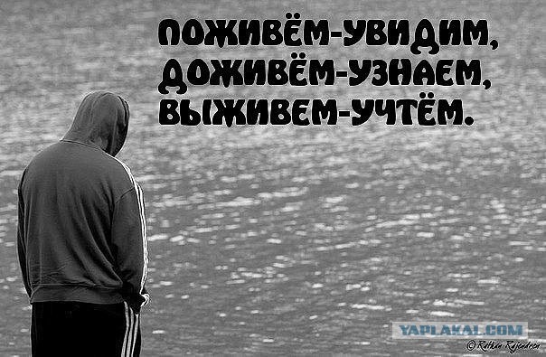 Поживем Увидим Доживем Узнаем Выживем Учтем Картинки