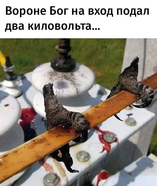 Воскресная чернуха!
