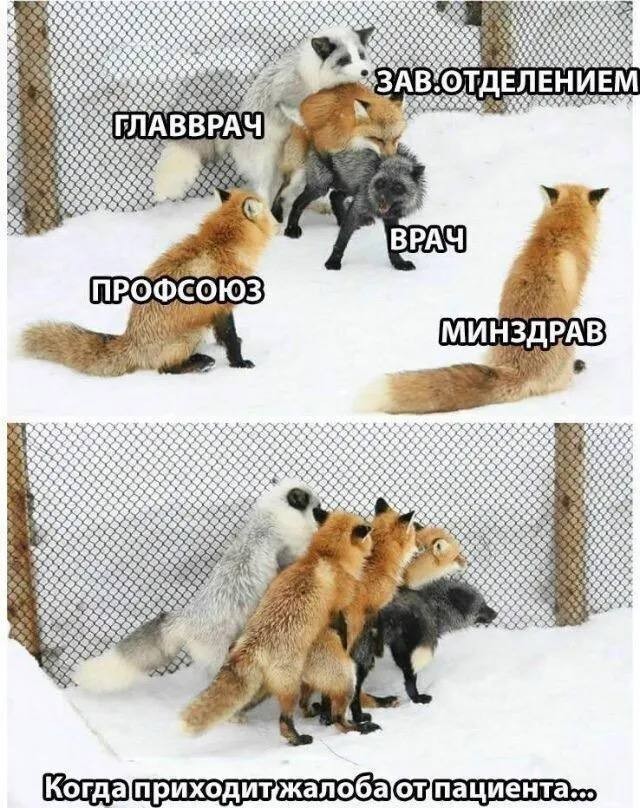 https://s00.yaplakal.com/pics/pics_original/5/5/6/19417655.jpg