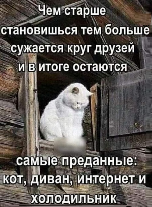 Картинки разные с надписями и без