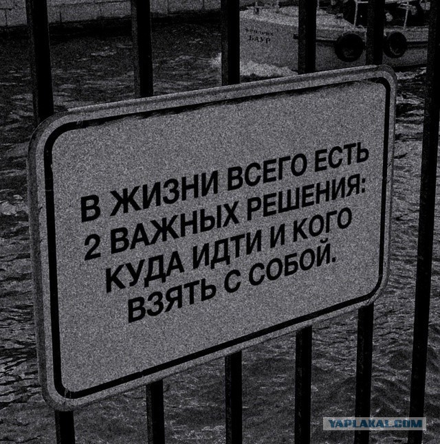 Всего понемногу. От 21.11.2024.