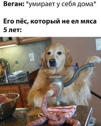 Когда веганам хочется лосося, но в голове же беда совсем