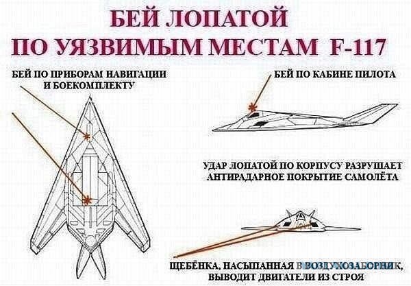 Жалящая птица. И от неё практически нет спасения.