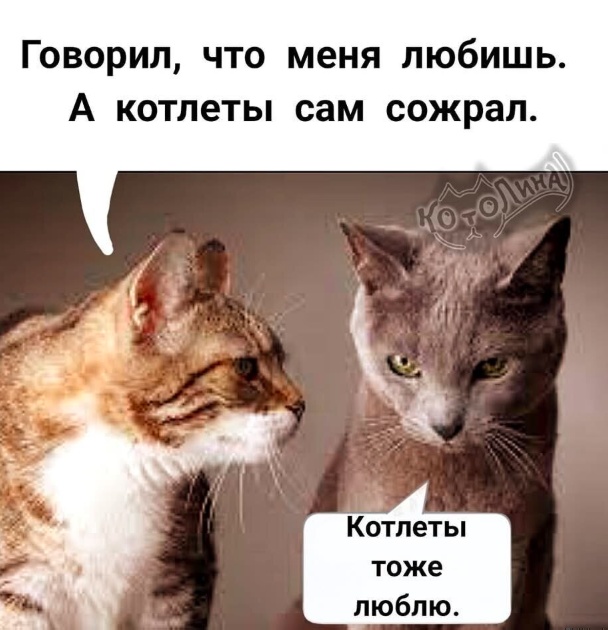 Так себе картинки 08.03.25