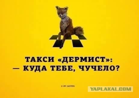 Веселые картинки