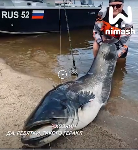 "Он щас катер наш утащит в Кострому, ***!"