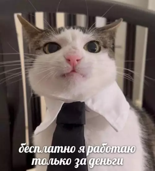 Картиночки, баянчики 12 марта