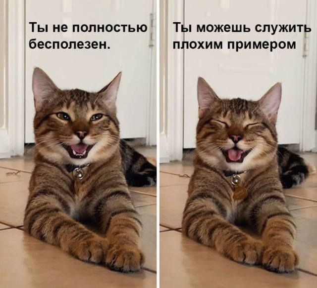 Веселые картинки в пятницу (17.04)