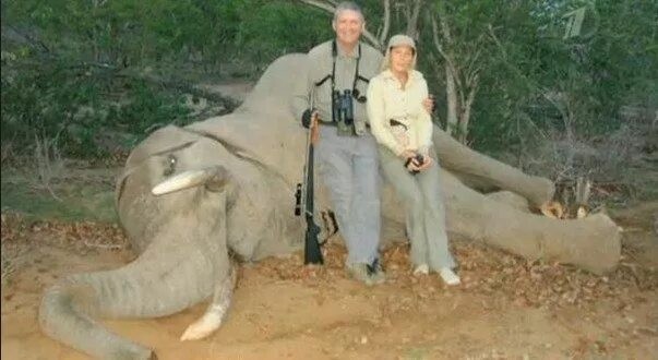 Не ходите дяди в Африку убивать