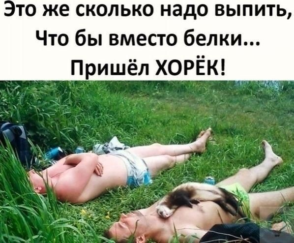Картинки для деградации 245 (разной степени свежести)