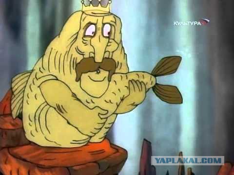 Вот что поймали....