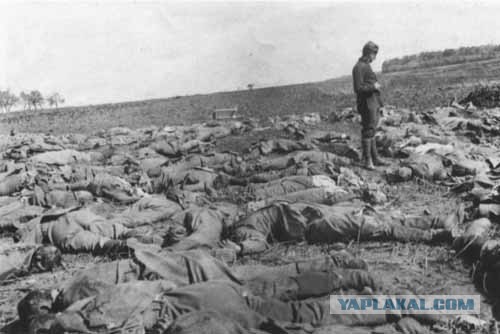 Под Шахтерском лежит тысяча трупов карателей