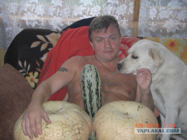 Что тут, черт возьми, происходит?!