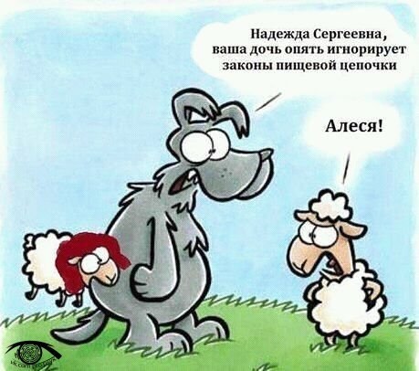 Улыбнёмся?:)