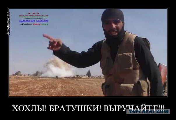 10 политических картинок часть 14