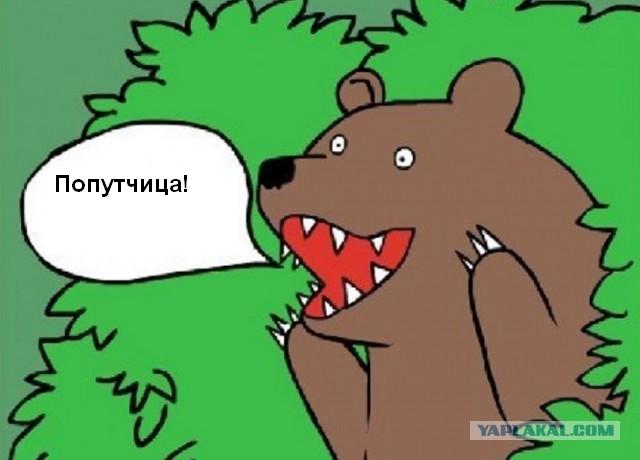 Просто попутчица