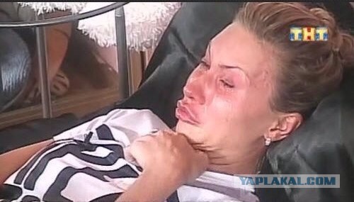 Взяли котейку домой