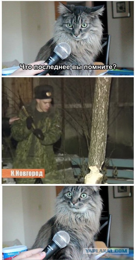 Немного лёгкой наркомании в картинках