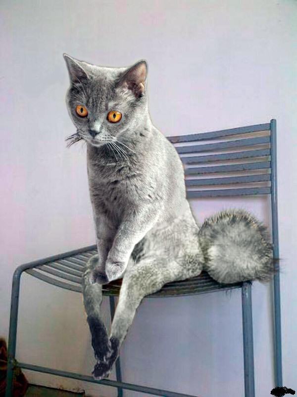 Юмор для всех