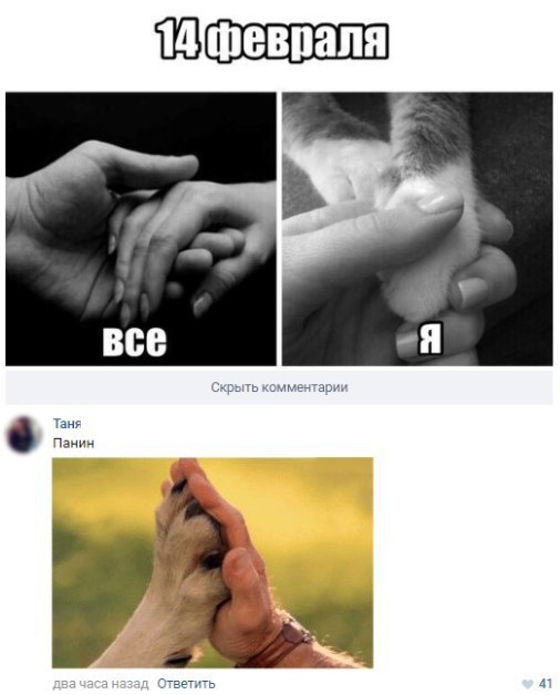 Ужасы и приколы из соцсетей 18+