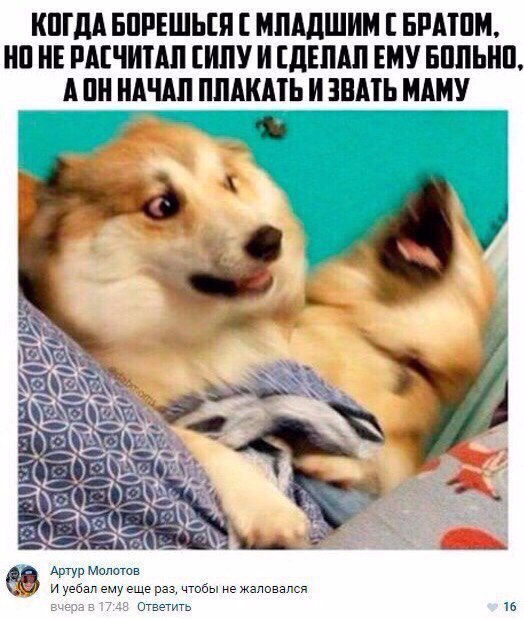 Ужасы и приколы из соцсетей 18+