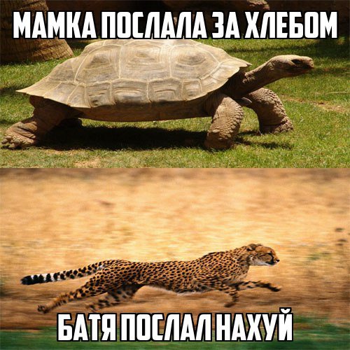 Приколы в стиле "регресс"