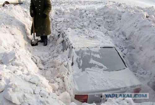 Утонувшие в траве