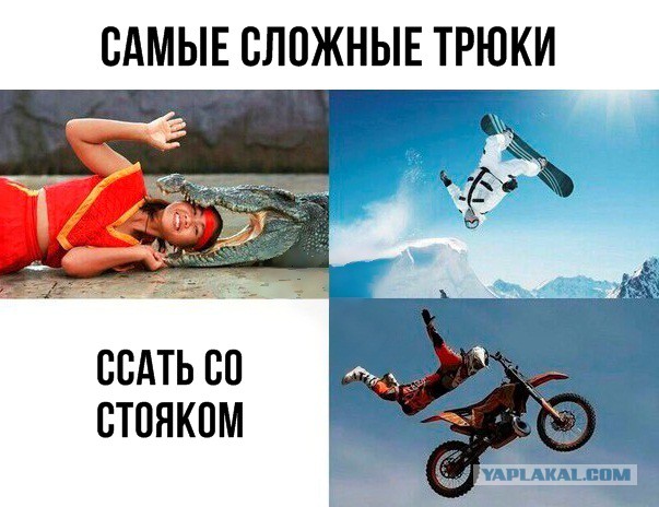 Немного картинок на этот вторник