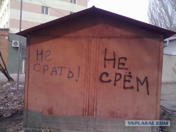 «Бродячие» философы: 17 глубокомысленных заметок в транспорте и на улицах