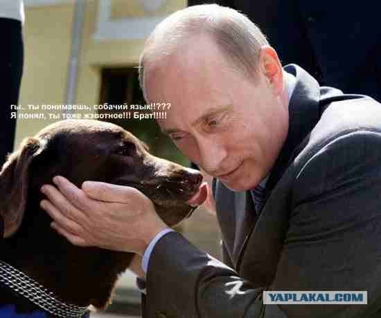 Путин и лабрадор