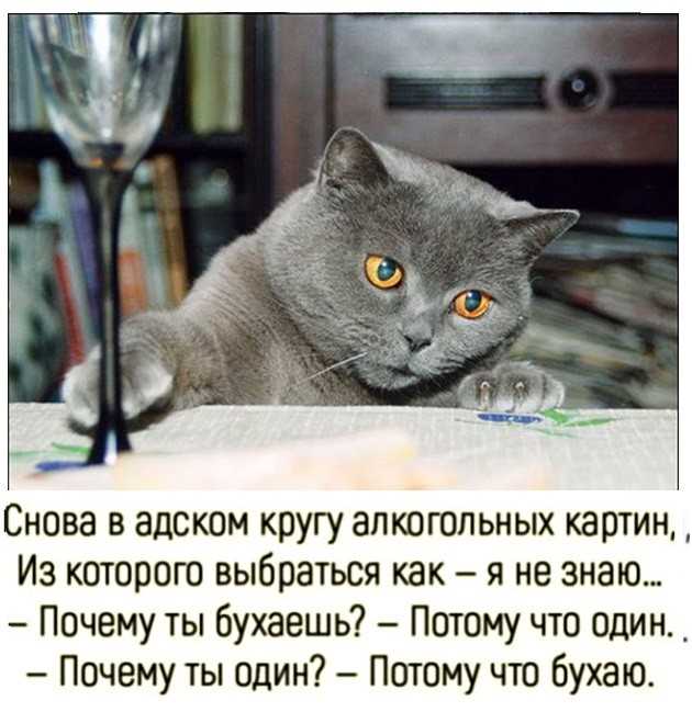 Как бросить пить?