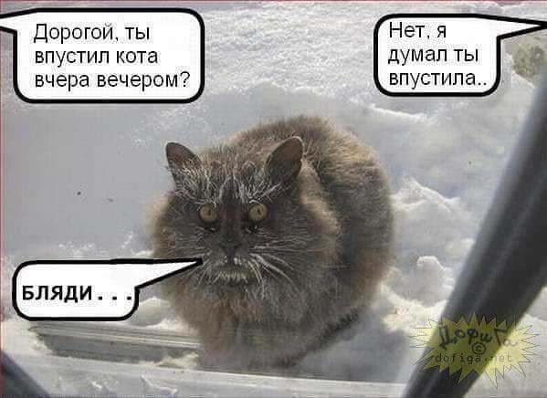 Картинки и мемы для настроения 014