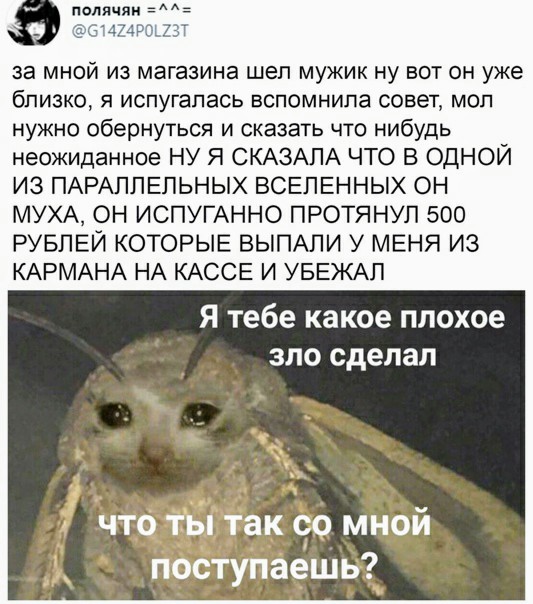 Картинки и мемы для настроения 006