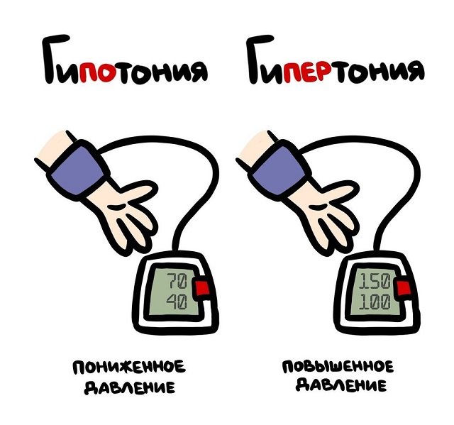 А может вы не знали...