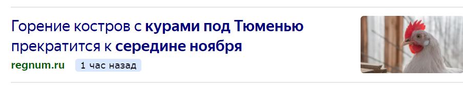10 последних сообщений. 10 последних сообщений