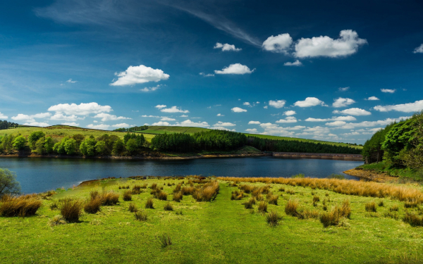 Картинки и мемы для настроения 02.11.2021