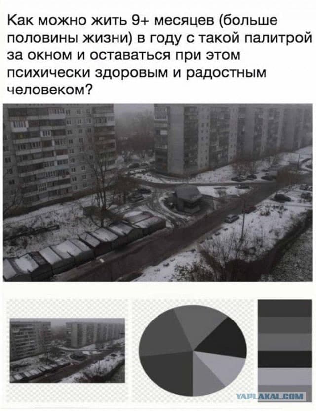 В Петербурге из реки Смоленки выловили сумку с расчлененным человеческим телом