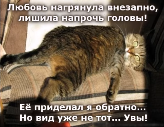 Весёлый полтишок 28.02.22