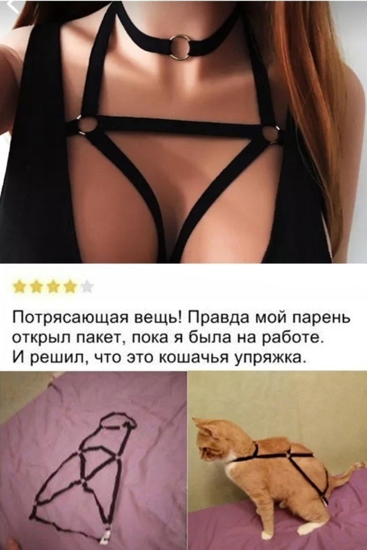 16713755.jpg