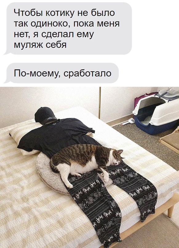Картинки и мемы для настроения. Выходные рядышком...