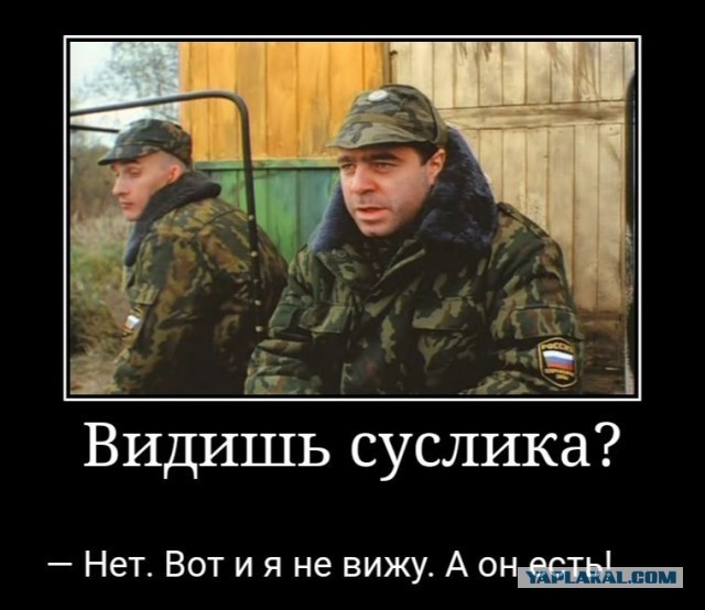 Помните эксперта?