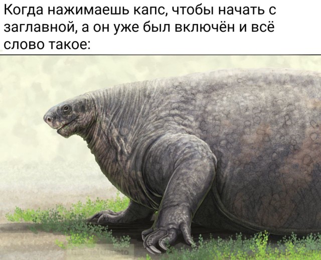Народная меДИЧина 5023