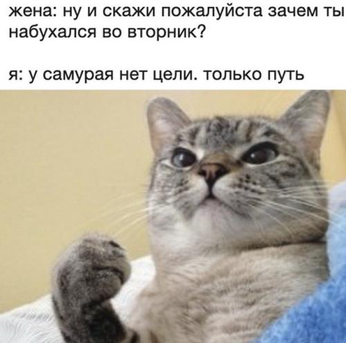 Победная поступь идиотизма по планете – том 8