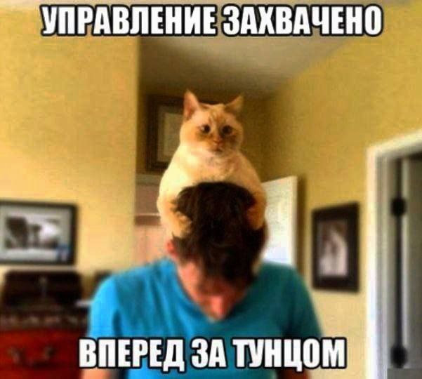 Всего понемногу. От 02.04.24