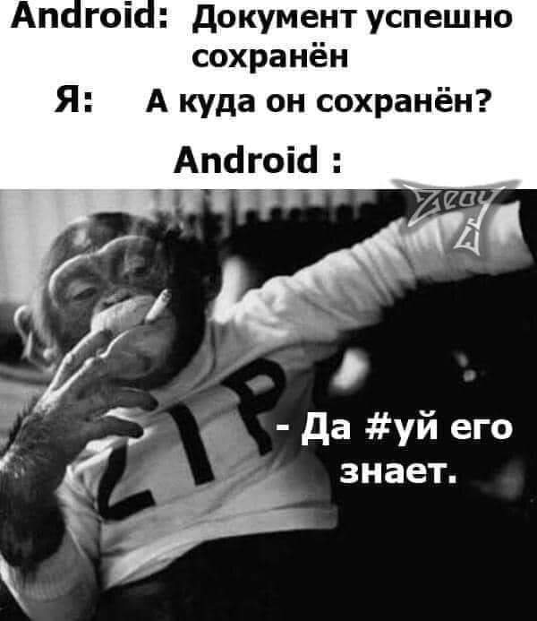 Куда копируется файл