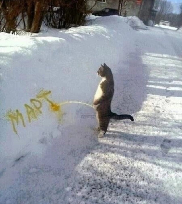 Всего понемногу. От 08.03.2025